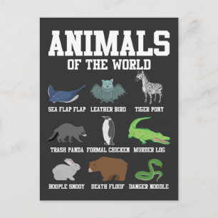 Snake racoon penguin Pun Animals of the World Postcard