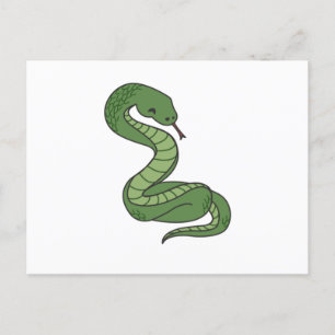 Snake Reptile Snakes For Animal Friends Postcard