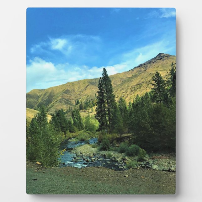 Snake River, Wallowa County, OR Plaque (Front)