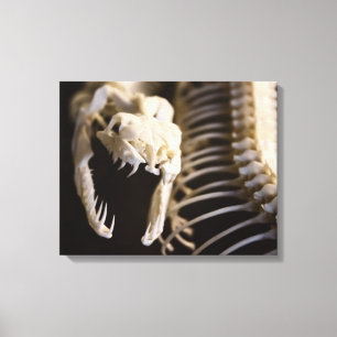 Snake skeleton art - canvas print
