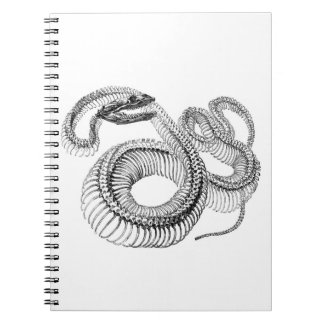 Snake Skeleton Notebook