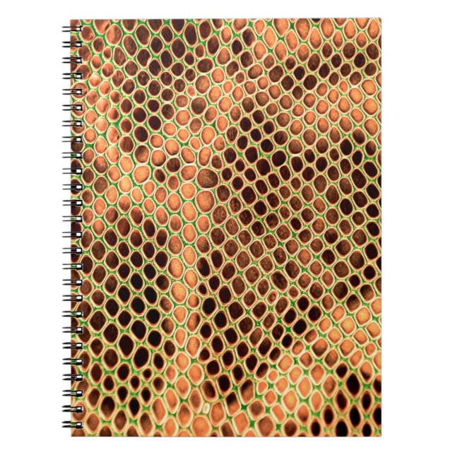 Snake skin background notebook (Front)
