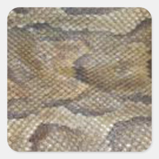 Snake skin design square sticker