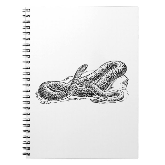 Snake Spiral Notebook (Front)