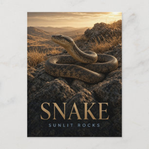 Snake Sunlit Rocks Wildlife ANIMAL Postcard