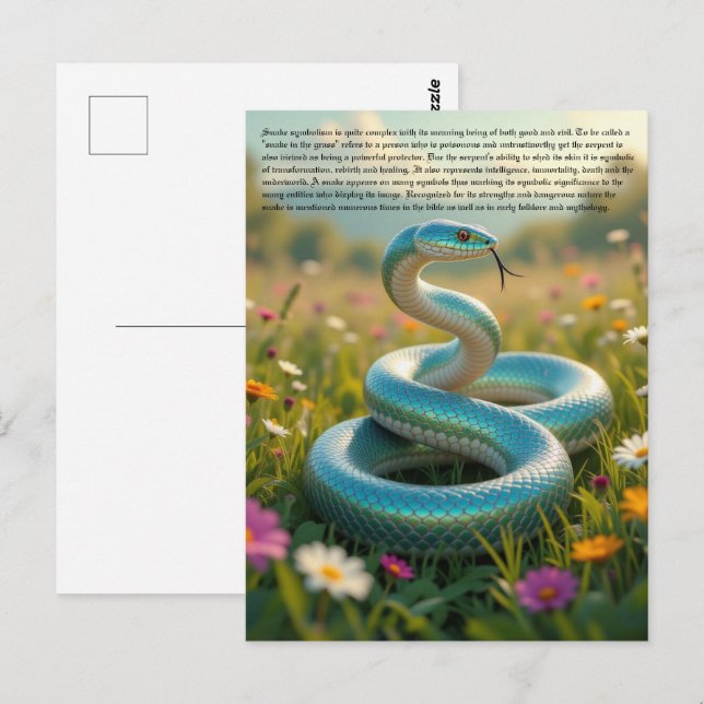 Snake Symbolism Postcard (Front/Back)