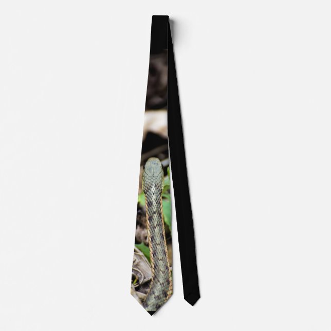 Snake Tie (Front)