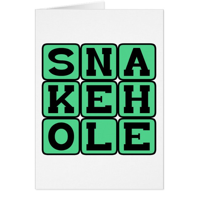 Snakehole, Neighorhood Bar (Front)