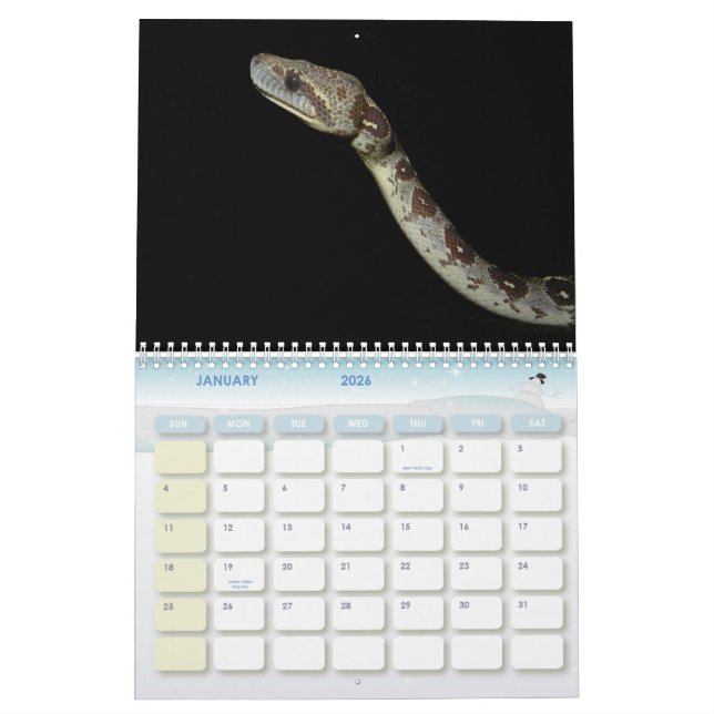 Snakes  16 months Calender Calendar (Jan 2026)
