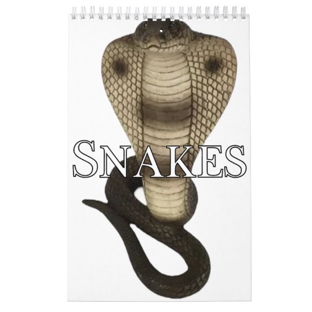 Snakes Collection Wall Calendar (Cover)