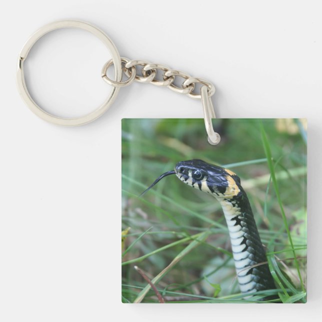Snake's Head Key Ring (Front)