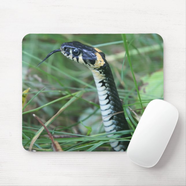 Snake's Head Mouse Pad (With Mouse)