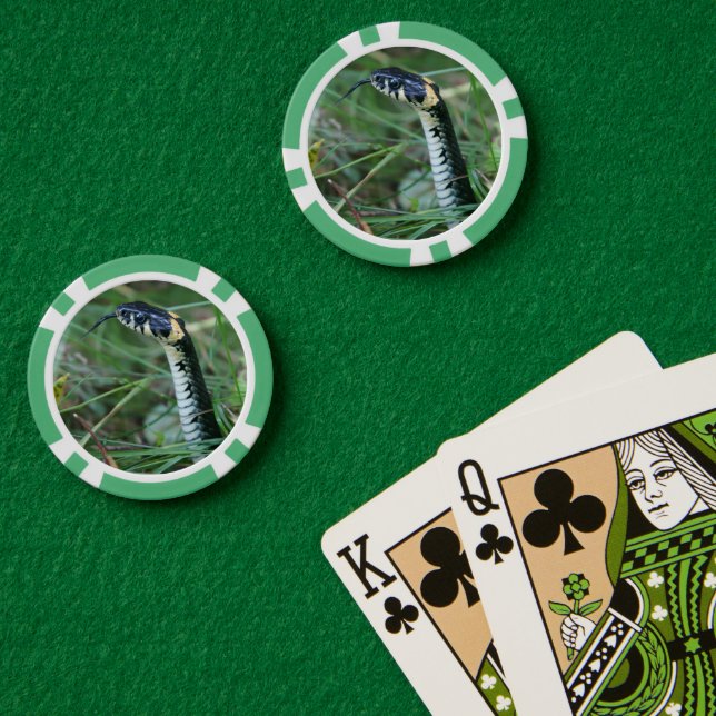 Snake's Head Poker Chips (Poker Table (Double))