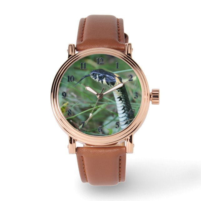 Snake's Head Watch (Front)