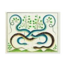 Snakes Postcard