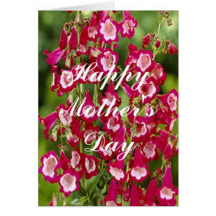 Snapdragon Flowers Greeting Card