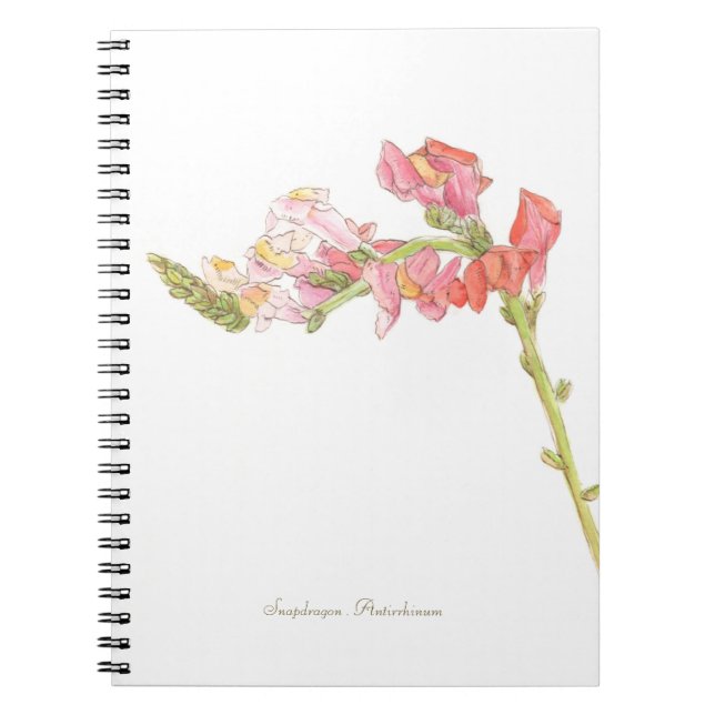 Snapdragon notebook (Front)