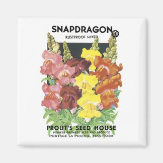 Snapdragon, Rustproof Mix, Prout's Seed House Magnet