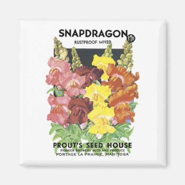 Snapdragon, Rustproof Mix, Prout's Seed House Magnet (Front)