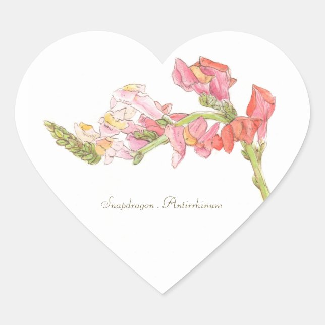 Snapdragon Sticker (Front)