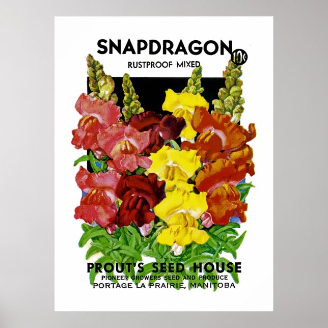 Snapdragon Vintage Seed Packet Poster (Front)