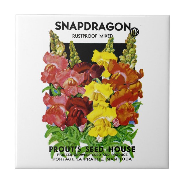 Snapdragon Vintage Seed Packet Tile (Front)