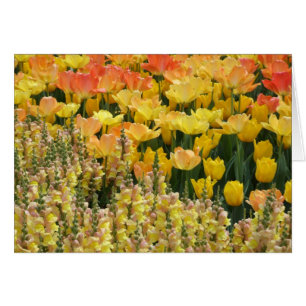 Snapdragons Card