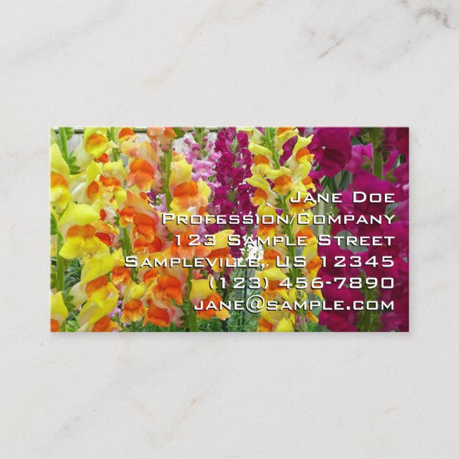 Snapdragons Colourful Floral Business Card (Front)