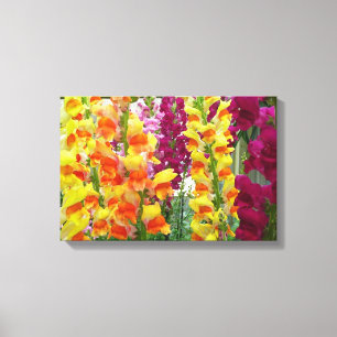 Snapdragons Colourful Floral Canvas Print