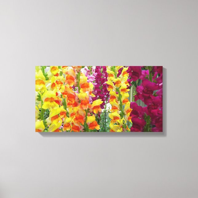 Snapdragons Colourful Floral Canvas Print (Front)