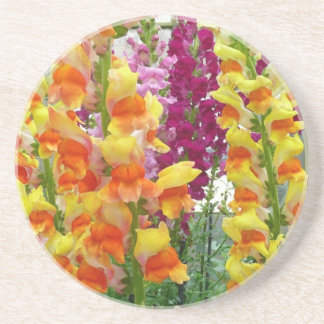 Snapdragons Colourful Floral Coaster