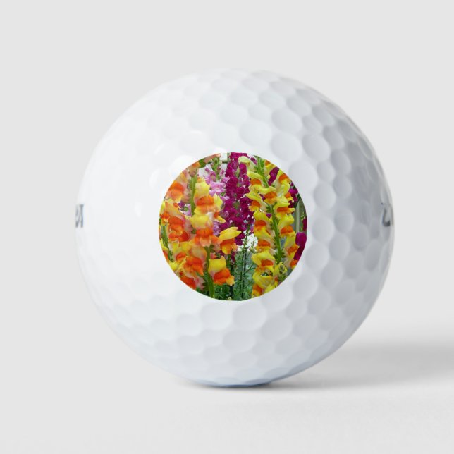 Snapdragons Colourful Floral Golf Balls (Front)