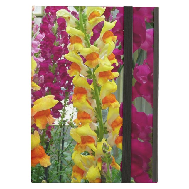 Snapdragons Colourful Floral iPad Air Case (Front Closed)