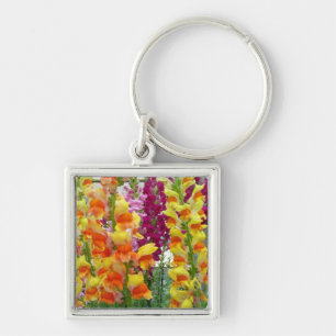 Snapdragons Colourful Floral Key Ring