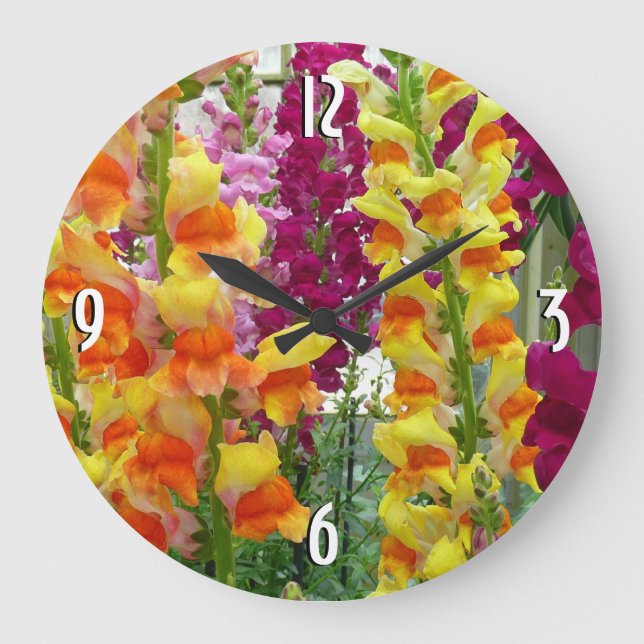 Snapdragons Colourful Floral Large Clock (Front)