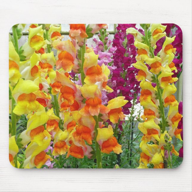 Snapdragons Colourful Floral Mouse Pad (Front)
