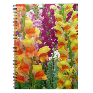 Snapdragons Colourful Floral Notebook