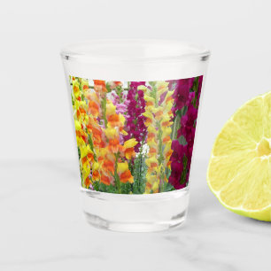 Snapdragons Colourful Floral Shot Glass