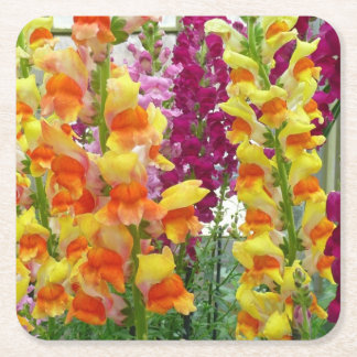 Snapdragons Colourful Floral Square Paper Coaster