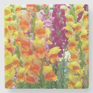 Snapdragons Colourful Floral Stone Coaster