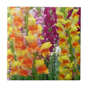 Snapdragons Colourful Floral Tile