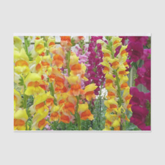 Snapdragons Colourful Floral Tissue Paper