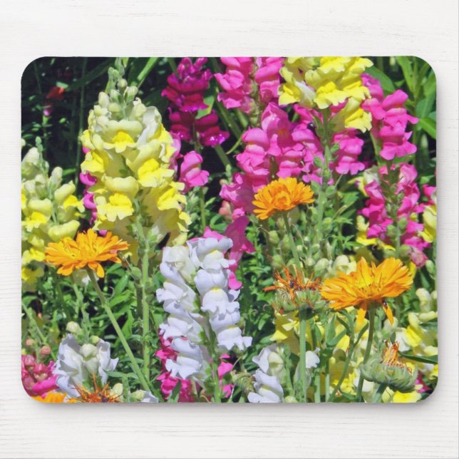 Snapdragons Mouse Pad (Front)