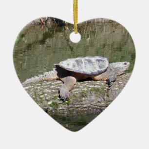 Snapping Turtle Ceramic Tree Decoration