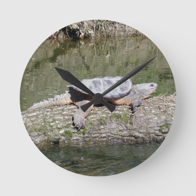 Snapping Turtle Round Clock (Front)