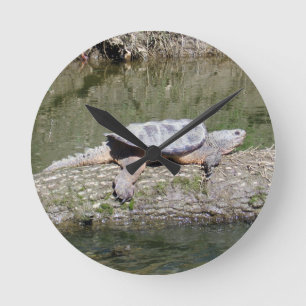 Snapping Turtle Round Clock