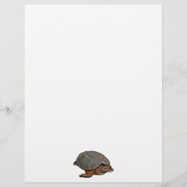 Snapping Turtle Terrapin-lover Gift (Front)