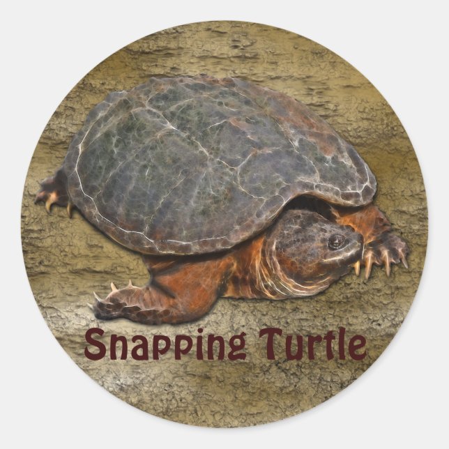 Snapping Turtle Terrapin-lover Gift Classic Round Sticker (Front)