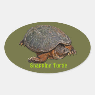 Snapping Turtle Terrapin-lover Gift Oval Sticker