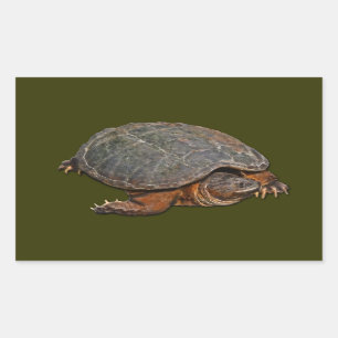 Snapping Turtle Terrapin-lover Gift Rectangular Sticker